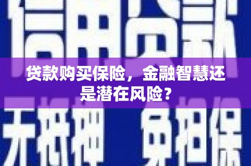 岳塘贷款购买保险，金融智慧还是潜在风险？