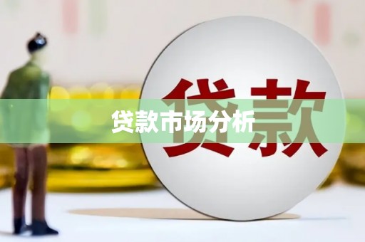 岳塘贷款市场分析