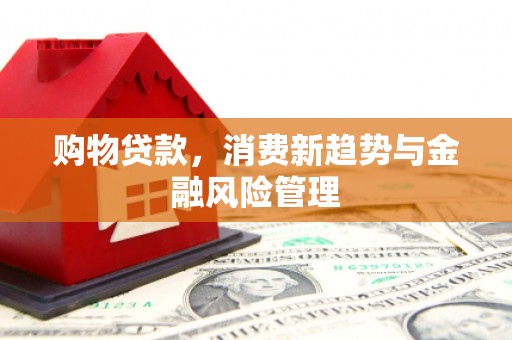 岳塘购物贷款，消费新趋势与金融风险管理