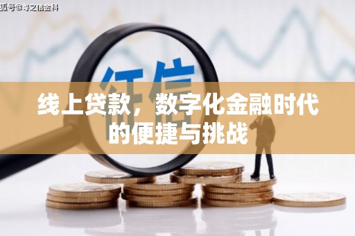 岳塘线上贷款，数字化金融时代的便捷与挑战
