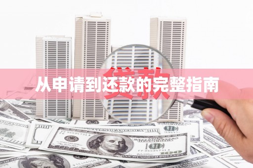 岳塘从申请到还款的完整指南