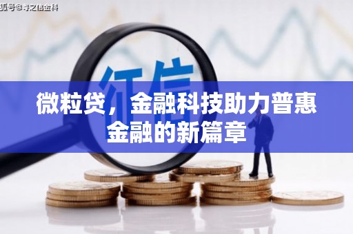 岳塘微粒贷，金融科技助力普惠金融的新篇章