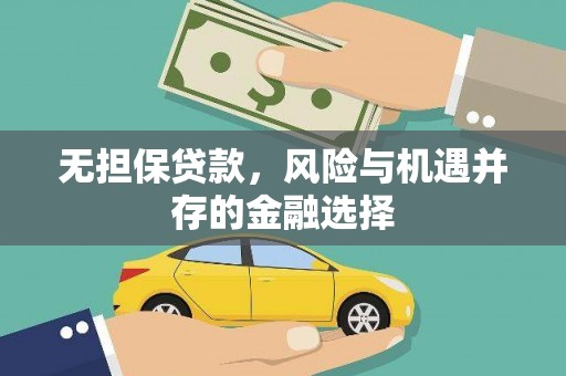 岳塘无担保贷款，风险与机遇并存的金融选择