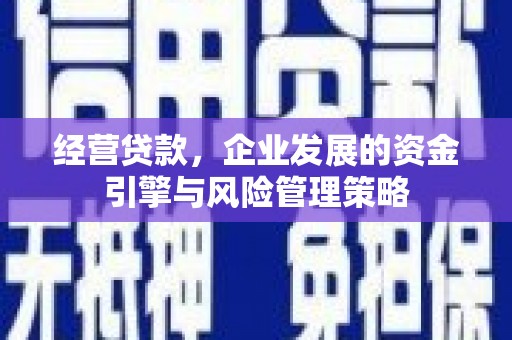 岳塘经营贷款，企业发展的资金引擎与风险管理策略
