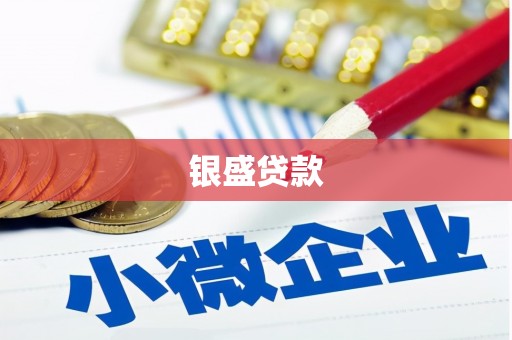岳塘银盛贷款