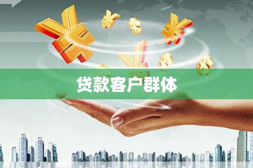 岳塘贷款客户群体