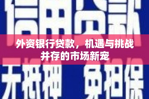 岳塘外资银行贷款，机遇与挑战并存的市场新宠