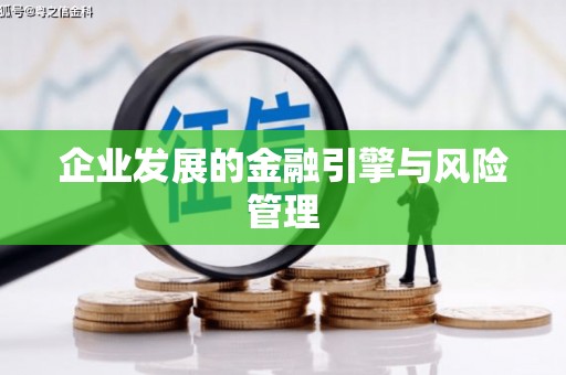 岳塘企业发展的金融引擎与风险管理