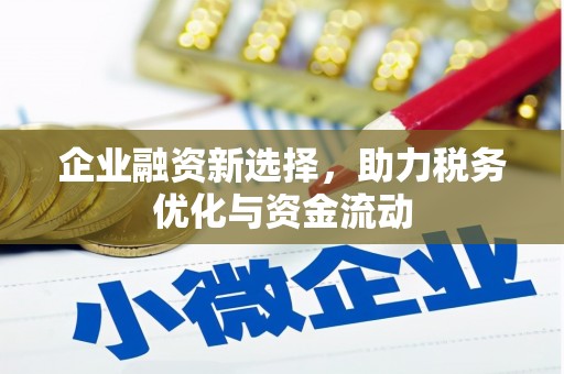 岳塘企业融资新选择，助力税务优化与资金流动