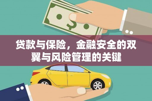 岳塘贷款与保险，金融安全的双翼与风险管理的关键