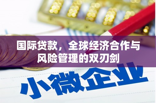 岳塘国际贷款，全球经济合作与风险管理的双刃剑