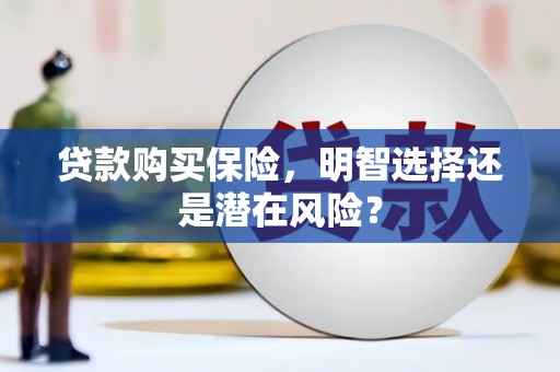 岳塘贷款购买保险，明智选择还是潜在风险？