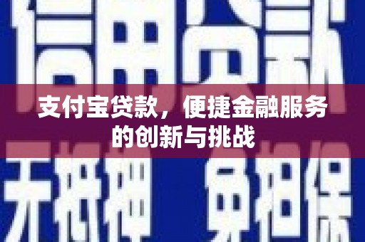 岳塘支付宝贷款，便捷金融服务的创新与挑战
