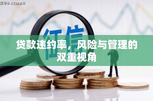 岳塘贷款违约率，风险与管理的双重视角