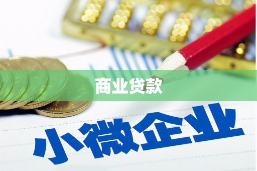岳塘商业贷款