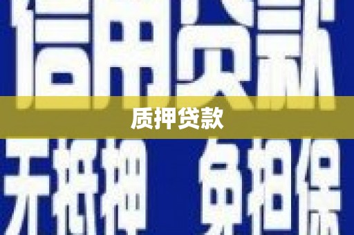 岳塘质押贷款