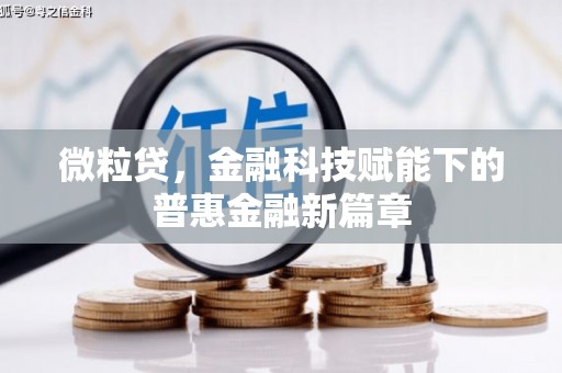 岳塘微粒贷，金融科技赋能下的普惠金融新篇章