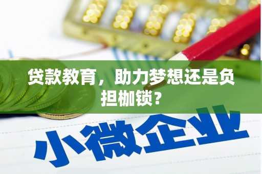 岳塘贷款教育，助力梦想还是负担枷锁？