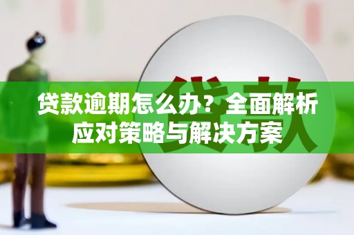 岳塘贷款逾期怎么办？全面解析应对策略与解决方案
