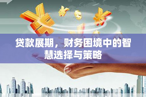 岳塘贷款展期，财务困境中的智慧选择与策略
