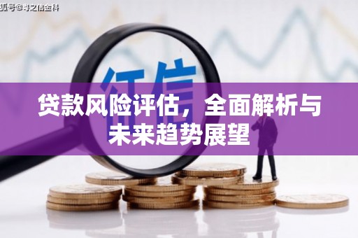 岳塘贷款风险评估，全面解析与未来趋势展望