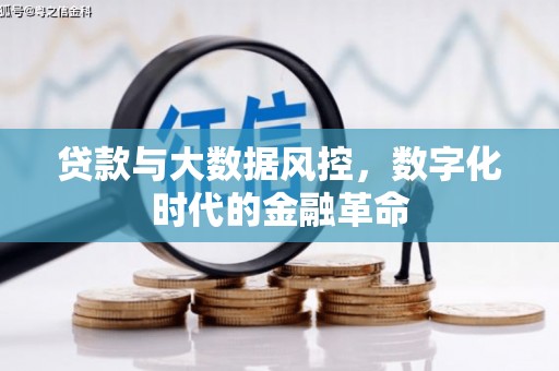 岳塘贷款与大数据风控，数字化时代的金融革命
