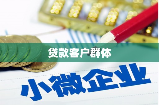 岳塘贷款客户群体