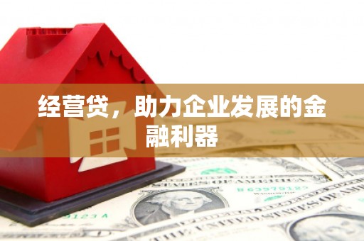 岳塘经营贷，助力企业发展的金融利器