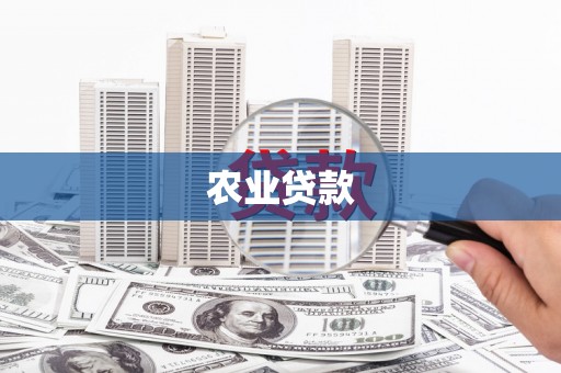 岳塘农业贷款