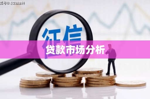 岳塘贷款市场分析