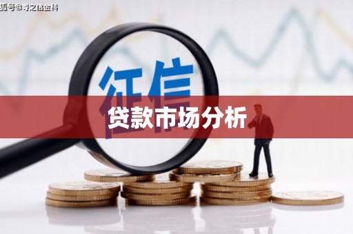 岳塘贷款市场分析
