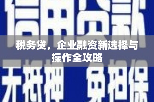 岳塘税务贷，企业融资新选择与操作全攻略