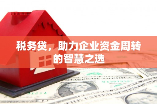 岳塘税务贷，助力企业资金周转的智慧之选