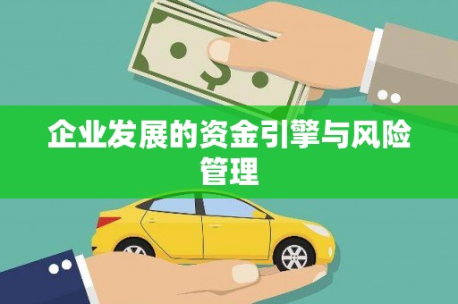 岳塘企业发展的资金引擎与风险管理