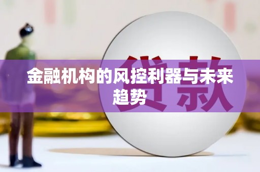 岳塘金融机构的风控利器与未来趋势