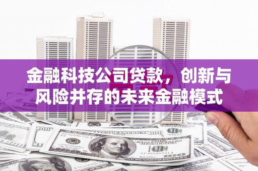 岳塘金融科技公司贷款，创新与风险并存的未来金融模式