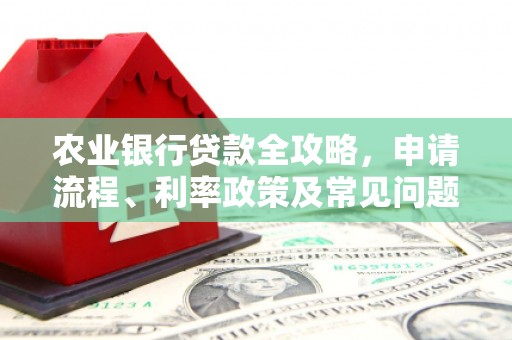 岳塘农业银行贷款全攻略，申请流程、利率政策及常见问题解析