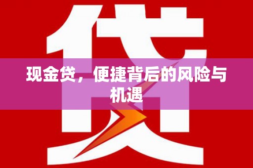 岳塘现金贷，便捷背后的风险与机遇