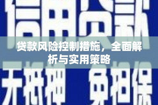 岳塘贷款风险控制措施，全面解析与实用策略