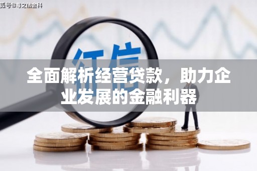 岳塘全面解析经营贷款，助力企业发展的金融利器