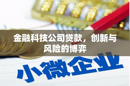 岳塘金融科技公司贷款，创新与风险的博弈