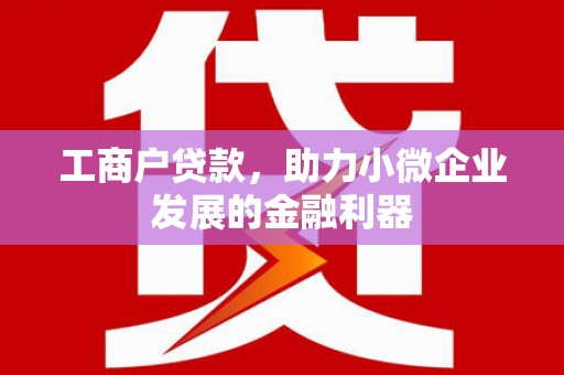 岳塘工商户贷款，助力小微企业发展的金融利器