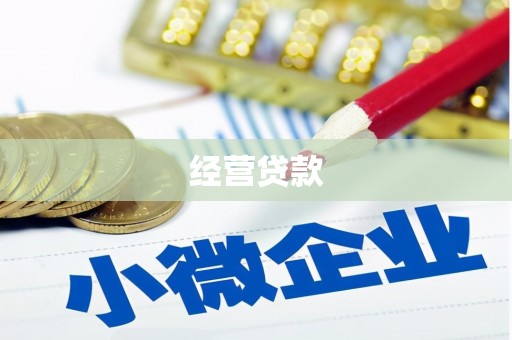 岳塘经营贷款