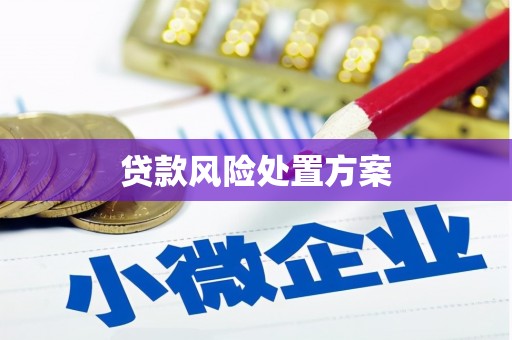 岳塘贷款风险处置方案