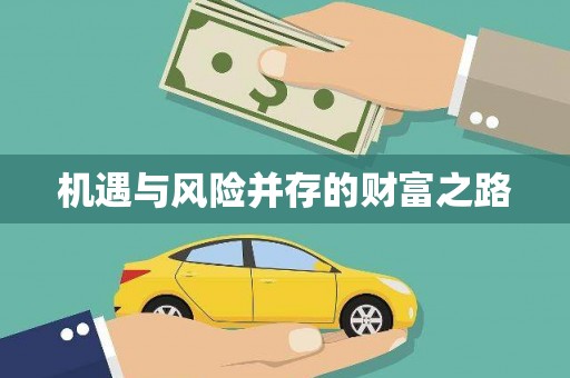 岳塘机遇与风险并存的财富之路