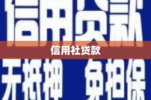 岳塘信用社贷款