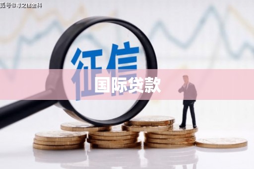 岳塘国际贷款