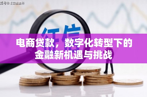 岳塘电商贷款，数字化转型下的金融新机遇与挑战