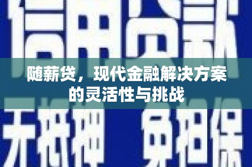 岳塘随薪贷，现代金融解决方案的灵活性与挑战