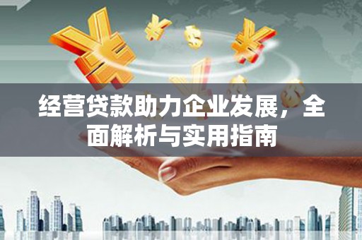 岳塘经营贷款助力企业发展，全面解析与实用指南